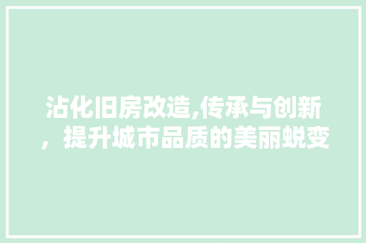 沾化旧房改造,传承与创新，提升城市品质的美丽蜕变