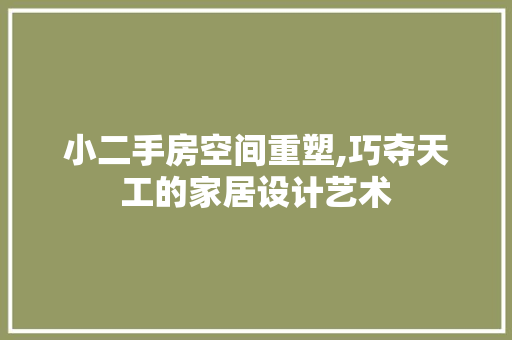 小二手房空间重塑,巧夺天工的家居设计艺术