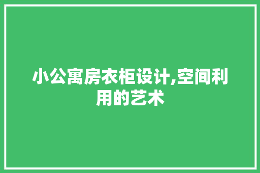 小公寓房衣柜设计,空间利用的艺术