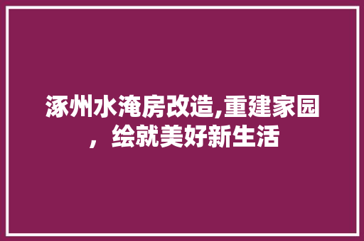 涿州水淹房改造,重建家园，绘就美好新生活