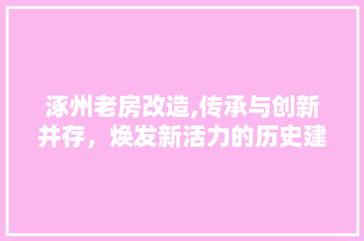 涿州老房改造,传承与创新并存，焕发新活力的历史建筑改造工程