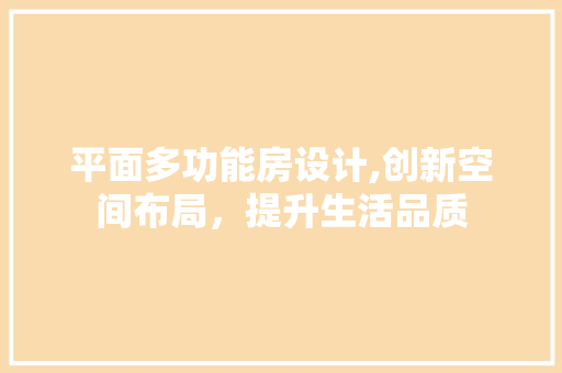 平面多功能房设计,创新空间布局，提升生活品质