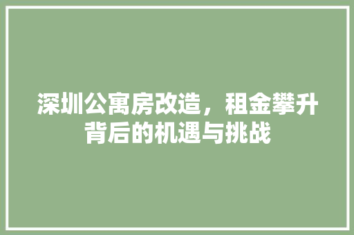 深圳公寓房改造，租金攀升背后的机遇与挑战