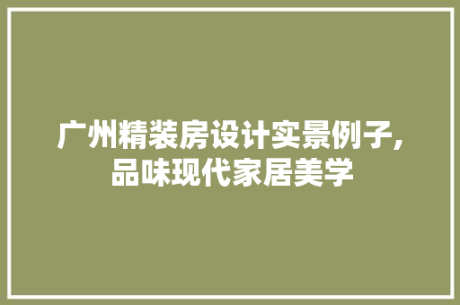 广州精装房设计实景例子,品味现代家居美学