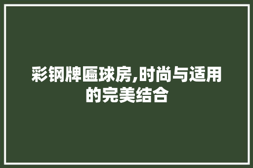 彩钢牌匾球房,时尚与适用的完美结合