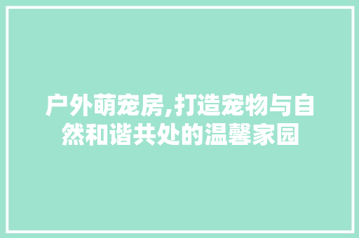 户外萌宠房,打造宠物与自然和谐共处的温馨家园