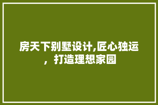 房天下别墅设计,匠心独运，打造理想家园