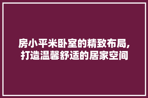 房小平米卧室的精致布局,打造温馨舒适的居家空间