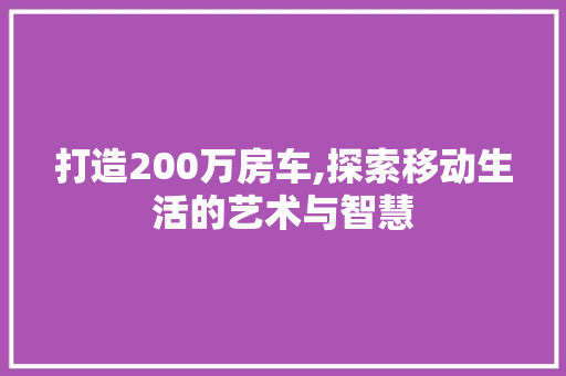 打造200万房车,探索移动生活的艺术与智慧