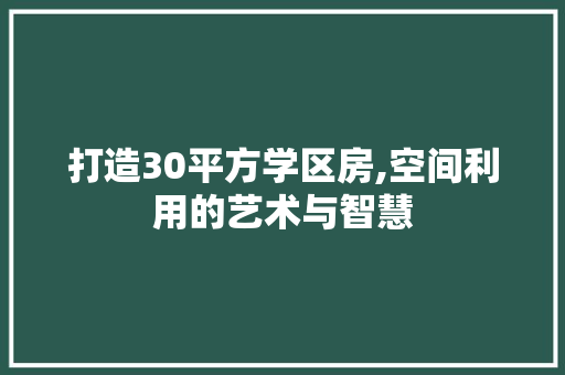 打造30平方学区房,空间利用的艺术与智慧