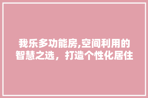 我乐多功能房,空间利用的智慧之选，打造个性化居住空间
