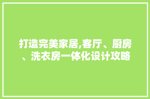 打造完美家居,客厅、厨房、洗衣房一体化设计攻略