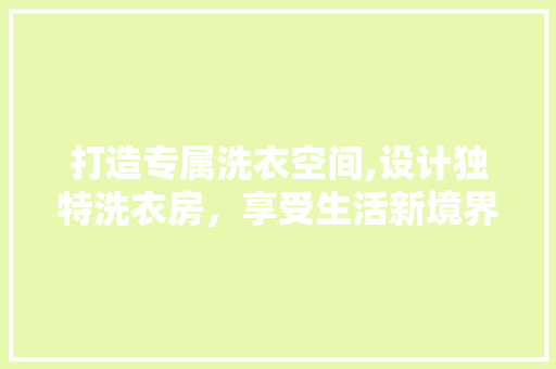 打造专属洗衣空间,设计独特洗衣房，享受生活新境界