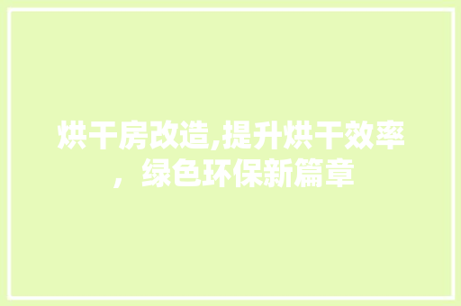 烘干房改造,提升烘干效率，绿色环保新篇章