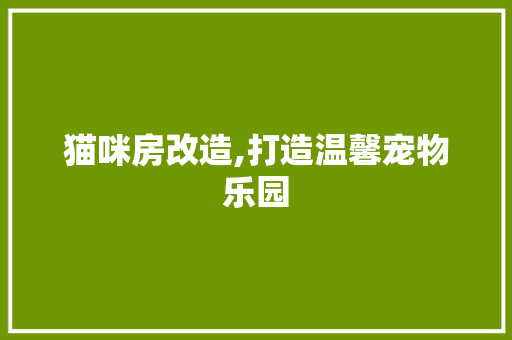 猫咪房改造,打造温馨宠物乐园
