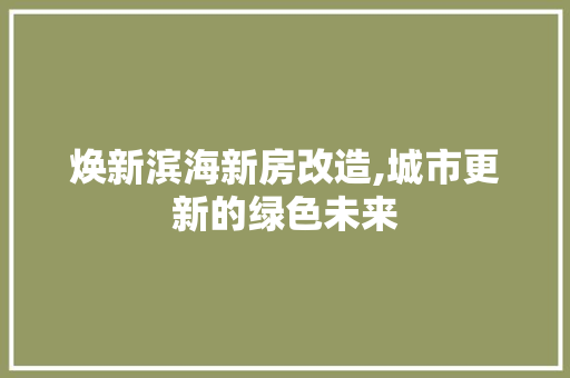 焕新滨海新房改造,城市更新的绿色未来