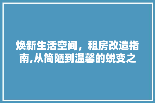 焕新生活空间，租房改造指南,从简陋到温馨的蜕变之旅