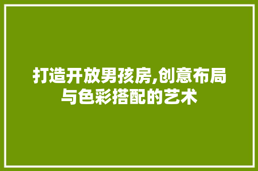 打造开放男孩房,创意布局与色彩搭配的艺术