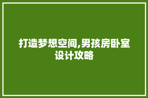 打造梦想空间,男孩房卧室设计攻略