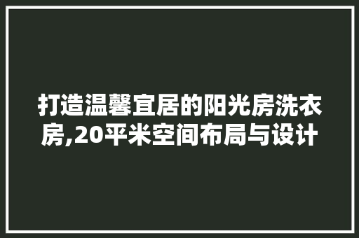 打造温馨宜居的阳光房洗衣房,20平米空间布局与设计指南