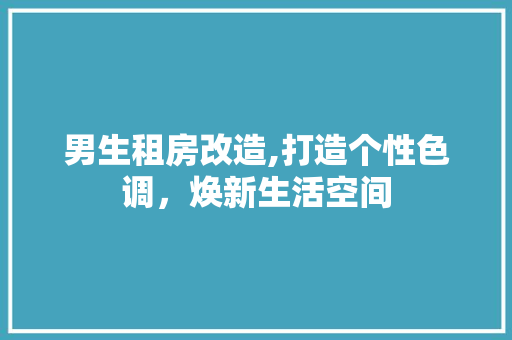 男生租房改造,打造个性色调，焕新生活空间