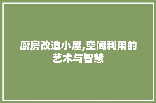 厨房改造小屋,空间利用的艺术与智慧