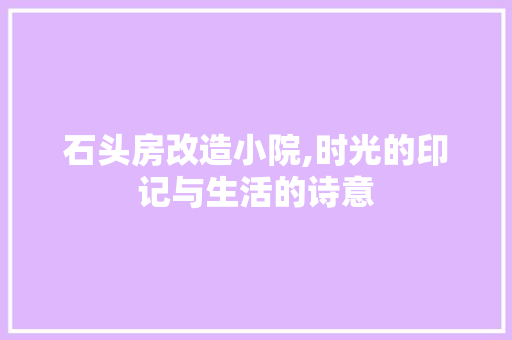 石头房改造小院,时光的印记与生活的诗意