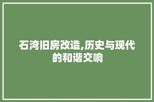 石湾旧房改造,历史与现代的和谐交响