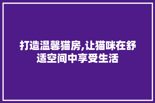 打造温馨猫房,让猫咪在舒适空间中享受生活