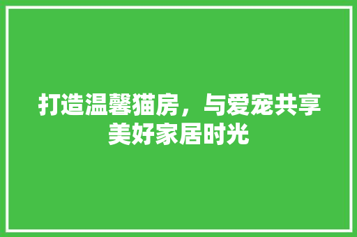 打造温馨猫房，与爱宠共享美好家居时光