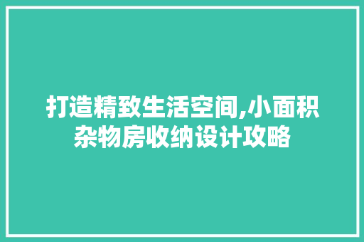 打造精致生活空间,小面积杂物房收纳设计攻略