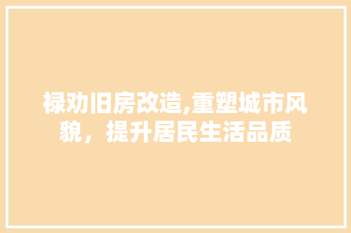 禄劝旧房改造,重塑城市风貌，提升居民生活品质