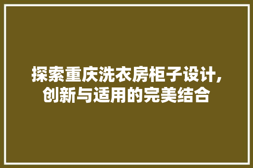 探索重庆洗衣房柜子设计,创新与适用的完美结合