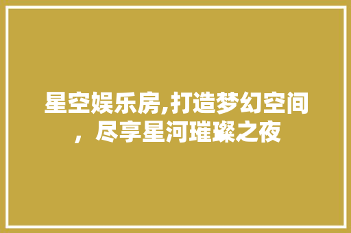星空娱乐房,打造梦幻空间，尽享星河璀璨之夜