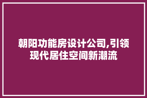 朝阳功能房设计公司,引领现代居住空间新潮流