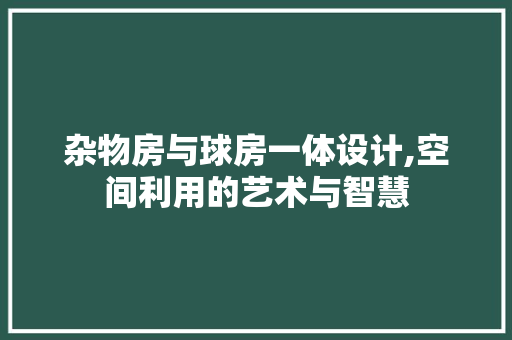 杂物房与球房一体设计,空间利用的艺术与智慧