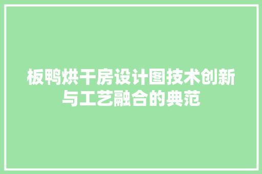 板鸭烘干房设计图技术创新与工艺融合的典范