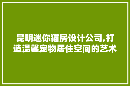 昆明迷你猫房设计公司,打造温馨宠物居住空间的艺术之旅