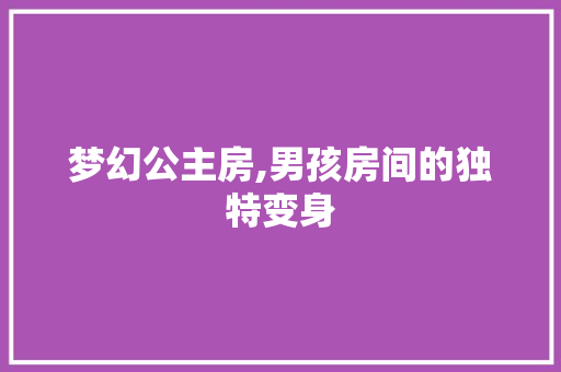 梦幻公主房,男孩房间的独特变身