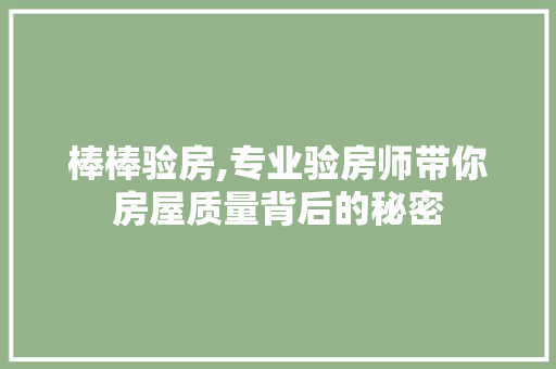 棒棒验房,专业验房师带你房屋质量背后的秘密