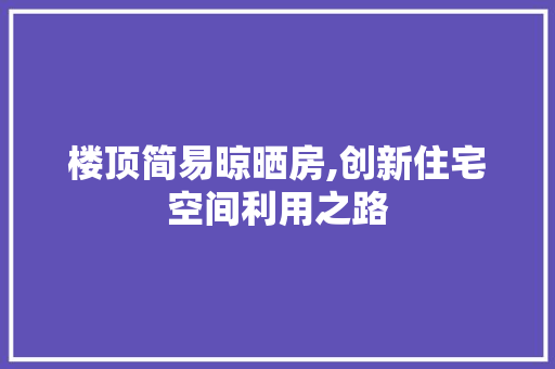 楼顶简易晾晒房,创新住宅空间利用之路