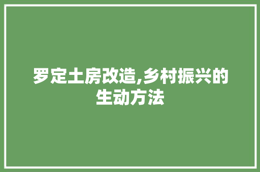 罗定土房改造,乡村振兴的生动方法