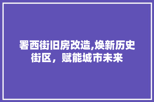 署西街旧房改造,焕新历史街区，赋能城市未来