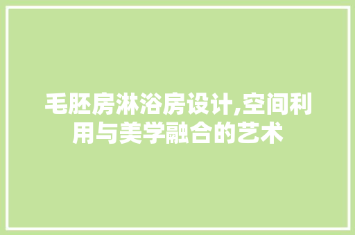 毛胚房淋浴房设计,空间利用与美学融合的艺术