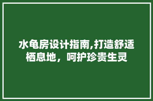 水龟房设计指南,打造舒适栖息地，呵护珍贵生灵