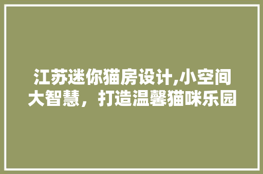 江苏迷你猫房设计,小空间大智慧，打造温馨猫咪乐园
