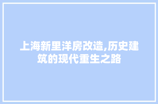 上海新里洋房改造,历史建筑的现代重生之路