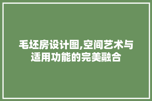 毛坯房设计图,空间艺术与适用功能的完美融合