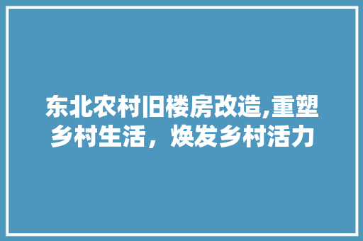 东北农村旧楼房改造,重塑乡村生活，焕发乡村活力