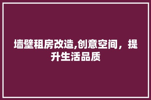 墙壁租房改造,创意空间，提升生活品质